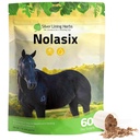 Silver Lining Herbs Nolasix Lung & Circulation Suplementos para cavalos – Suplemento de cavalo de ervas naturais para circulação, saúde do coração e apoio do pulmão – respiração normal e suporte vascular – 1 lb