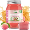 ACEYO (18 OZ) Irish Sea Moss Gel Organic Raw Vegan Peach Flavor 102 Vitaminas e Minerais Selvagens Colhidas Não-GMO Imune Defense Booster Thyroid Digestive Support