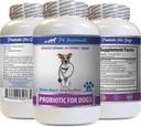 Bad Dog Breath Remedy - Probiotics para cães - Gut saudável - Stop Gas Diarrhea e Bad Breath - Digestive Boost - Dog probióticos Bad Breath - 1 garrafa (60 doces)