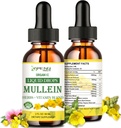 Mullein Drops para pulmões, desintoxicação pulmonar e limpeza para fumador, extrato de folha de mullein orgânico para pulmões w. Elderberry, Ginger, Mullein Tintura Álcool livre para saúde respiratória do pulmão 2 FL / OZ