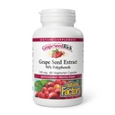Factores Naturais - Uva SementesRich Grape Seed Extract, Apoio Antioxidante, 60 Cápsulas Vegetarianas