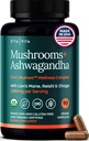 USDA Lions Organic Mane Supplement Cápsulas com Ashwagandha, Chaga, Reishi, Cordyceps, Turkey Tail (18.600mg/serv) 10x Adaptogenic Mushroom Complex as Focus Supplement - Energy, Immunity & Nootropic