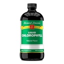 Suplemento líquido 100% puro natural do clorofila de Bernard Jensen , promove alcalina Ph , ajuda a limpar o sangue , 16 Onça de fluido (474 ml)