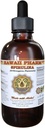 HawaiiPharm Spirulina Liquid Extract, Organic Spirulina (Arthrospira platensis) Tintura, Suplemento de ervas, Made in USA, 2 fl.oz