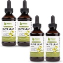 Maxx Herb Olive Leaf Extract – Max força Oleuropein líquido Absorve melhor do que cápsulas ou chá, para suporte imunológico, saúde do coração e bem-estar sazonal - 4 garrafas, 4 Oz cada (240 Servings)