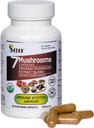 Sayan 7 Mushroom Extract 90 Cápsulas/440mg ea – Imune Support & Energy – Orgânico Chaga, Reishi, Mane de Leão, Maitake, Shiitake, Turquia Tail Adaptogen Blend – Vegan, Não-GMO, Sem preenchimentos ou aditivos