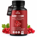 Suplemento de circulação sanguínea, 120 Cápsulas, Suporta Veia Legal, Coração, Vasos e Saúde Cardiovascular com Niacina, L-Arginina, Ginger, Cayenne Pepper, Hawthorn, Diosmin, Pílulas de fluxo de sangue