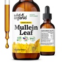 Wild & Organic Mullein gotas para pulmões - Lung Detox e Cleanse - Liquid Mullein Folha Tintura com Echinacea & Licorice Raiz - Vegan, Açúcar & Alcohol-free Extract Suplemento - 2 fl oz