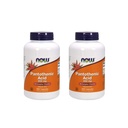 Agora Alimentos Ácido Pantotênico 500 mg, 250 Cápsula (2 embalagem)