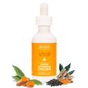 WellPath Liposomal Curcumin Supplement (Suplemento de Curcumina Lipossômico) líquido Turmeric Drops with Black Pepper Extract (Extrato de Pimenta Negra)
