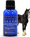 HA4E - Apoio a problemas respiratórios de cavalos - Ajuda a prevenir pesos, alergias e infecções – Suplemento homeopático natural altamente eficaz - 300 comprimidos