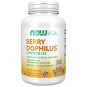 Now Foods Supplements, BerryDophilusTM com 2 Bilhões, 10 Strains Probióticos, Xilitol Adoçado, Strain Verificado, 120 Chewables, embalagem pode variar
