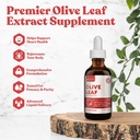 Rejuvica Ativo Extrato de Folha de Oliva Naturalmente Ocorrendo gotas líquidas de Oleuropein para Imune & Heart Support