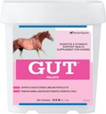 GutTM Pellets .Probióticos Gut saudável para cavalos .Equine Prebiótico & Probiótico Pó . Suplemento Estômago cavalo .. 13.5 lb