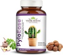 PyloEase □ Suplemento de ervas ayurvédicas tradicionalmente usado para apoiar o conforto digestivo e equilíbrio diário □ Associado com alívio de desconforto digestivo 60 Veg Cápsulas, (Pacote de 1)