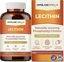 Lecitina-240 Softgels-suporta saúde cerebral