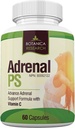 Suplemento de suporte de fadiga adrenal com Rhodiola Rosea Herb Extract Premium, L-Tyrosine, Panax Ginseng, Holy Basil - PS Cortisol Gland Complex for Health Insuficiência Calm Energy Response