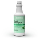 Clorofila Líquida Sol da Natureza - Suporte de Imunidade, Desintoxicação e Limpeza, Gotas Líquidas Clorofílicas com Óleo de Spearmint, Aumento de Energia Natural, Desodorante Interno - 16 Fl Oz