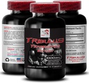 Natural Stamina Boost - Extrato TRIBULUS TERRESTRIS - Apoio à Força e Actividade, Fórmula de Otimização de Energia, Potência Baseada em Plantas, Mistura de Desempenho Corporal, Recuperação Activa, Fluxo de Energia 1Bot 90Tabs