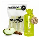 Energia da primavera - Molho impressionante - Canela torta de maçã Gel (Vegan) 180 Kcal - 20 Pack (20 Pack, Molho impressionante)