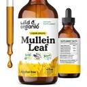 Selvagem e orgânica Mullein Tintura - Lung Cleanse e Detox - líquido Mullein Leaf Extract para pulmões com Echinacea - Verbascum Thapsus Drops - Vegan, Açúcar & Suplemento sem álcool - 4 fl oz