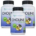 DOCTOR RECOMENDADO COMPLEMENTOS Premium Choline - 500 mg - 120 Veggie Cápsulas Suporta Saúde Cognitiva, Memória & Mais - 3 Pack