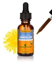 Herb Pharm certificado Dandelion orgânico extrato líquido para limpeza e desintoxicação, Glicerite livre de álcool, 1 Fl Oz