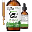 Selvagem & orgânica Gotu Kola Herb Tintura - Suporte ao cérebro - Gotu Kola líquido Extract Drops - Vegan, Açúcar & Álcool-Free Centella Asiatica Suplemento - 2 fl oz