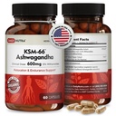 DailyNutra KSM-66 Ashwagandha 600mg Extrato Orgânico de Raiz - Suplemento de alta potência com 5% de Withanolides Alivia Cansaço, Suporta Relaxamento, Foco, Energia e Crescimento Músculo (60 Cápsulas)