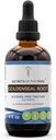 Segredos da tribo Goldenseal Root Tintura extrato sem álcool, gotas de ervas de alta potência, tintura feita de selo de ouro sensível cultivada Hydrastis Canadensis Digestão saudável 4 onças