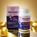 H-HOLYMA WLM AAAAA Lysozyme, Suporte à inflamação, Imune Booster, Enhancedor de saúde digestivo