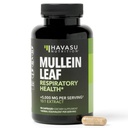 Mullein Leaf Cápsulas para Saúde Respiratória - 5000mg Extrato 10:1 para Apoio Pulmão e Função Imunitária - 90 Contagem - Vegan, Cápsulas Não-GMO - Suplemento de ervas para Bem-Estar Diário - 3 Mês de Fornecimento