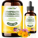 Pacote de gotas de drenagem linfática 1- Lymph Detox, Circulação - Suplementos de drenagem linfática com ervas orgânicas, Echinacea, Dandelion, Burdock, Cleaver Herb - Immune System Support & Cleanse