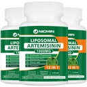 Suplemento de Artemisinina Lipossômico 1000mg, Extrato de Wormwood Doce com Fitossoma de Quercetina 200mg, Absorção Máxima para Antioxidante 180 Cápsulas