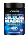 VITAMISAN Celulas Madres 180 Cápsulas - Célula-tronco Azul Verde Algas - Não GMO - Gluten AFA - Celula Madre Suplemento - Mane Beta Glucan do Leão Suporta Envelhecimento Saudável & Promove espirulina Imune.