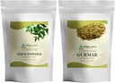 HERBAL HILLS Neem Leaf Powder e Gurmar Powder Gymnema Sylvestre Embalagem de 2 Combo
