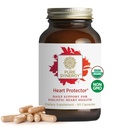PURO protetor cardíaco SYNERGY □ Suplemento cardíaco Holístico Orgânico com Berry Hawthorn orgânico, Resveratrol, e Nattokinase □ para o sangue e suporte vascular (60 Cápsulas)