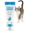 L-Lysine Gel para Gatos (5 onças) – Suporta Imune, Respiratório e Saúde Ocular. Facilidade Espirrando, Nariz Runny, e Olhos Aguados. Saboroso sabor de salmão - Feito nos EUA