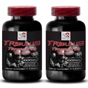 Aumentar o desejo sexual - TRIBULUS TERRESTRIS EXTRACT - Extrato de Tribulus terrestris para fonte de energia, pílulas Sex Drive para homens e mulheres, pílulas Sex Drive, impulsionador Libido - 2 Garrafas 180 Comprimidos