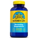 Vida Natureza Renovação Magnésio 500 mg - Citrato, Malato, Óxido Plus Vitamina B-6 - Apoio Músculos e Nervos - Lab Verificado (250 Servings, 250 VegCaps)