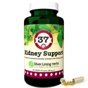 Silver Lining 37 Canine Kidney Support - Herbal Dog Supplement - Natural Support Blend para função normal do rim e bexiga - 90 Cápsulas