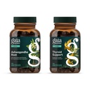 Gaia Herbs Ashwagandha raiz - Feito com orgânico Ashwagandha raiz - 120 Vegan líquido Phyto-cápsulas & suporte da tireóide - Suporte saudável equilíbrio metabólico e geral bem-estar - 120 Vegan líquido Phyto