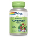 SOLARAY Hawthorn Berry Cápsulas 1050 mg - Aliviando suporte de ervas - Hawthorne Berry Suplemento para suporte global de bem-estar - Berry inteiro, Vegan, Não-GMO, 60 Dia Garantia, 90 Servings, 180 VegCaps