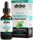 Chlorophyll Liquid Drops Body Detox - Vegan Liquid Chlorophyll Drops Odor Cleanse Supplement, Energia e suporte imunológico, Desodorante interno, Suplemento de desodorização do corpo - Natural desodorante Water 2 onças