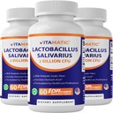 Vitamatic Lactobacillus Salivarius 2 bilhões por cápsula DR - 60 contagem - suporte digestivo - feito com fibra de inulina prebiótica (3 frascos)
