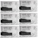 30.000 MG comprimidos Shilajit, 100% Shilajit puro, Himalaia orgânico, Shilajit para homens e mulheres ricos em ácido fulvico e 85+ Trace Minerals, Shilajit Suplemento para Energia e Sistema Imune, 360 Contagem