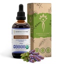 Segredos da tribo Bugleweed Tintura extrato líquido sem álcool, USDA Bugleweed orgânico (Lycopus Virginicus) Herb seco (4 FL OZ)