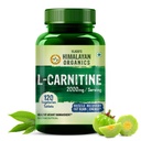 Himalayan Organics L-Carnitine L-Tartrate com Extrato de chá verde 2000 Mg Gerenciamento de Peso Saudável Suporta Recuperação Músculo, Aumentar Energia, Endurance e Queimadura Gordura -120 Tablets Vegetarianos