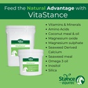 Stance Equitec VitaStance Vitamina, Minerais e Aminoácido Suplemento para Cavalos, 28.5 lb