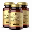 Solgar Metilcobalamina (Vitamina B12) 5000 mcg, 60 Nuggets (Pacote de 3) - Cherry Flavor - Suporta Metabolismo de Energia - Corpo-Pronto, Forma Ativa - Não-GMO, Vegan, Gluten Free - 180 Total Servings